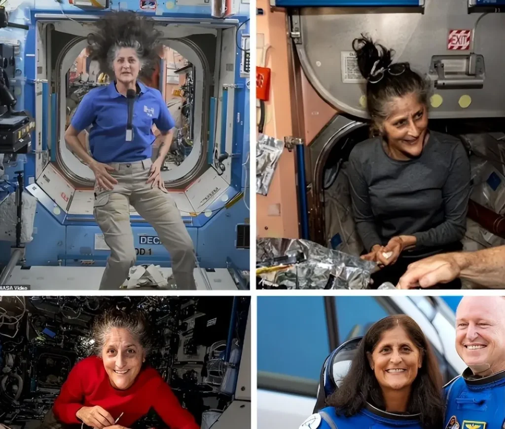 Figure 13: Figure 13: